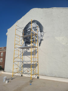 A Brush of Violence Fine Art Mural