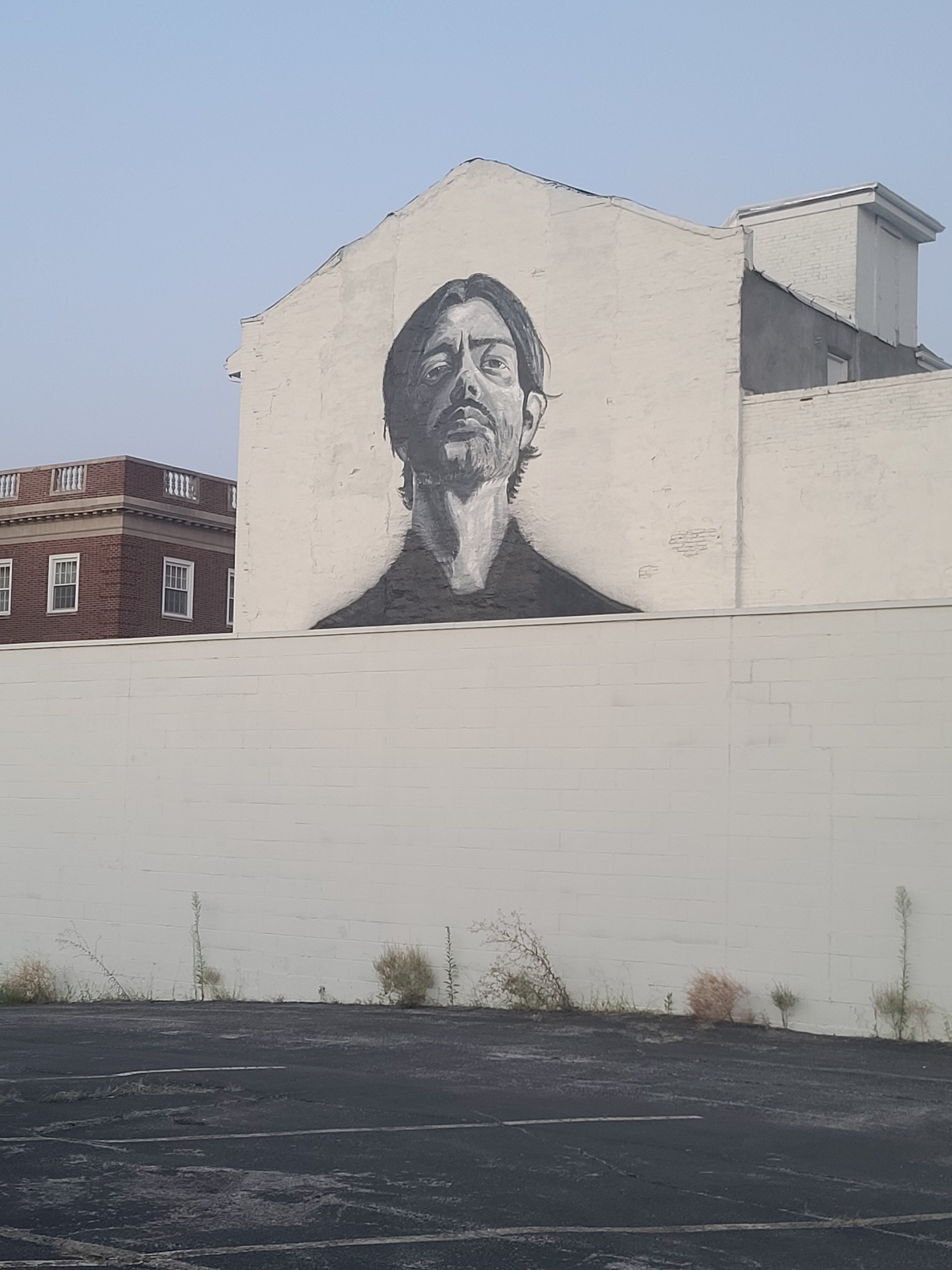 A Brush of Violence Fine Art Mural