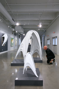 FORM + FLOW