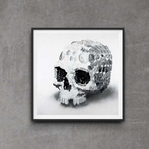 Skull LIMITED EDITION (5) Prints